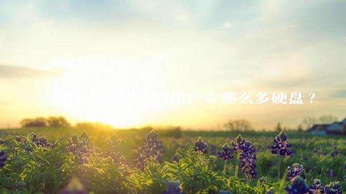 为什么有些NAS用户弄那么多硬盘?